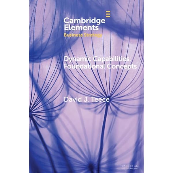 Amazon.com: DYNAMIC CAPABILITIES & STRATEGIC MANAGEMENT